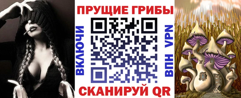 Галлюциногенные грибы MAGIC MUSHROOMS  Таруса 